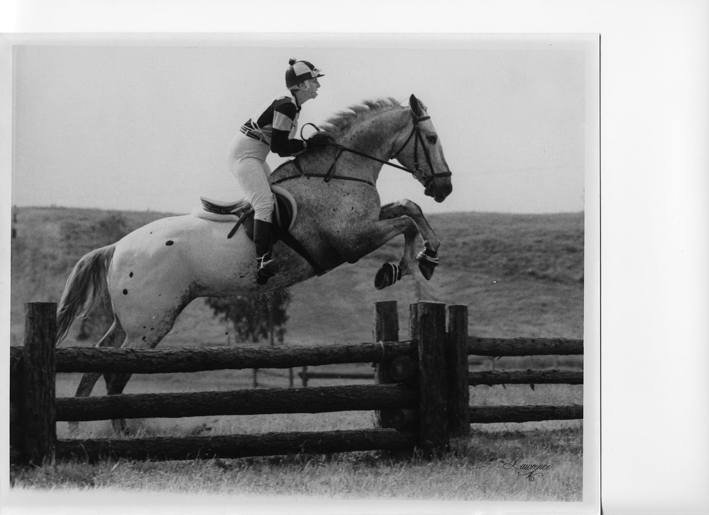 Woman jumping white horse over a jump