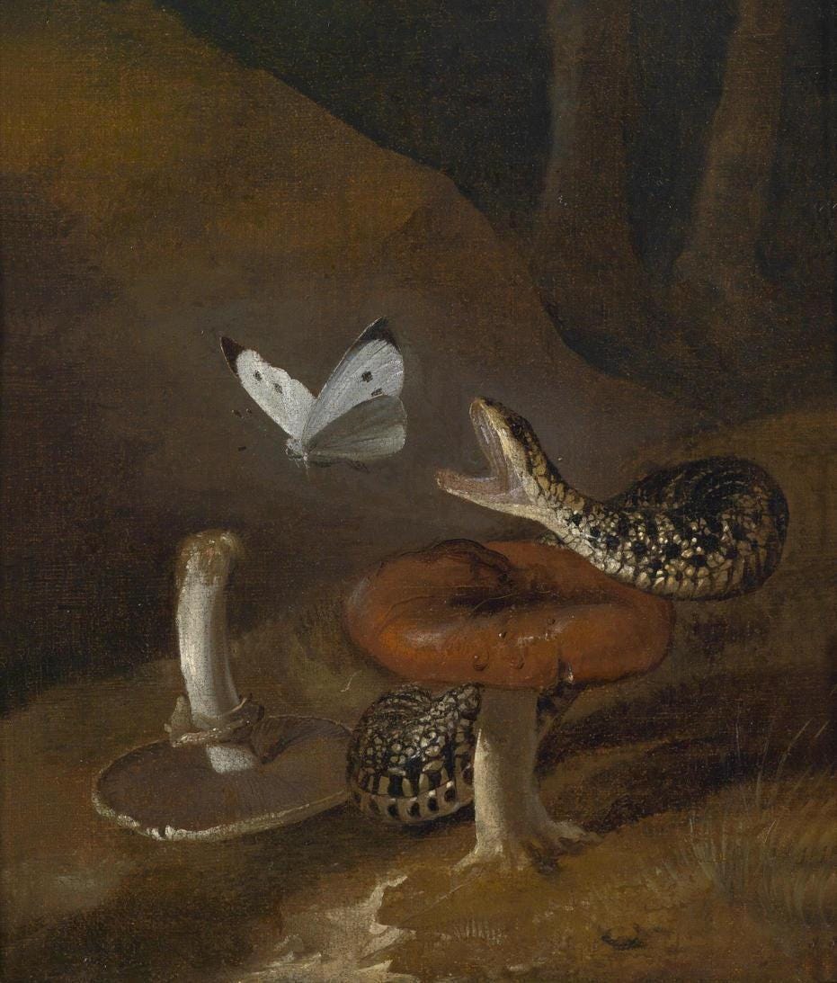 File:Otto Marseus van Schrieck - A Sous-bois still-life with a snake.jpg - Wikimedia  Commons