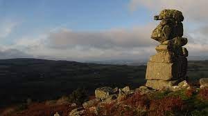 Tors of Dartmoor Database Result: Bowerman's Nose