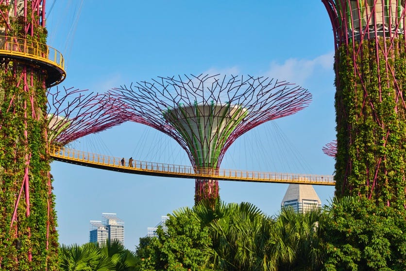 12 of the best things to do in Singapore - Lonely Planet