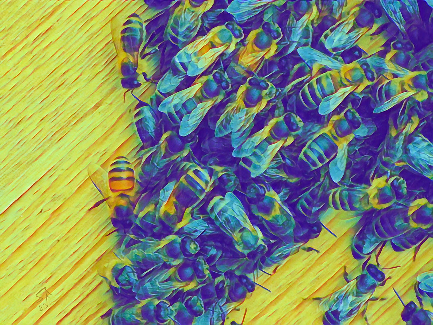 Honeybees on wooden background