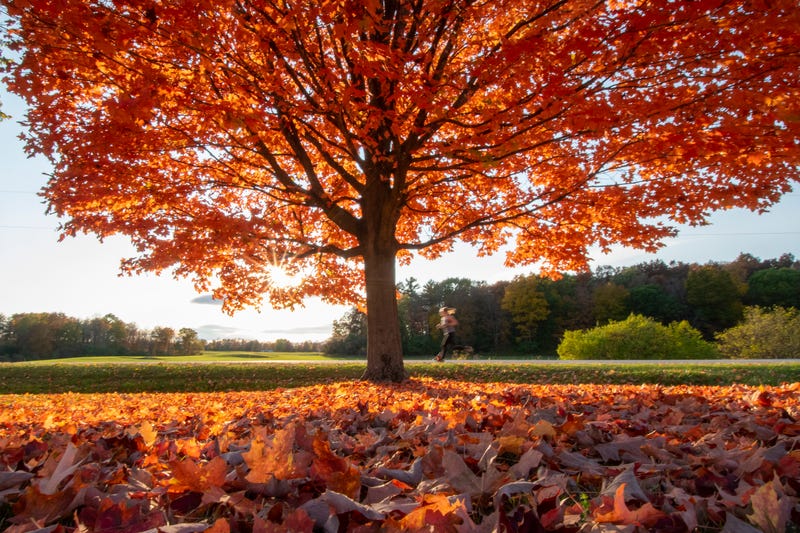 Fall | Vermont Tourism