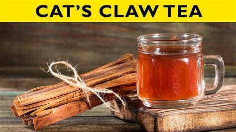 Cat's Claw Tea: The Tea Every Woman Should Know