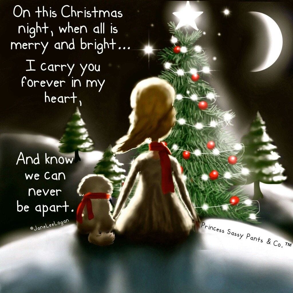 Pin by Susan L on Princess Sassy Pants | Merry christmas in heaven ...