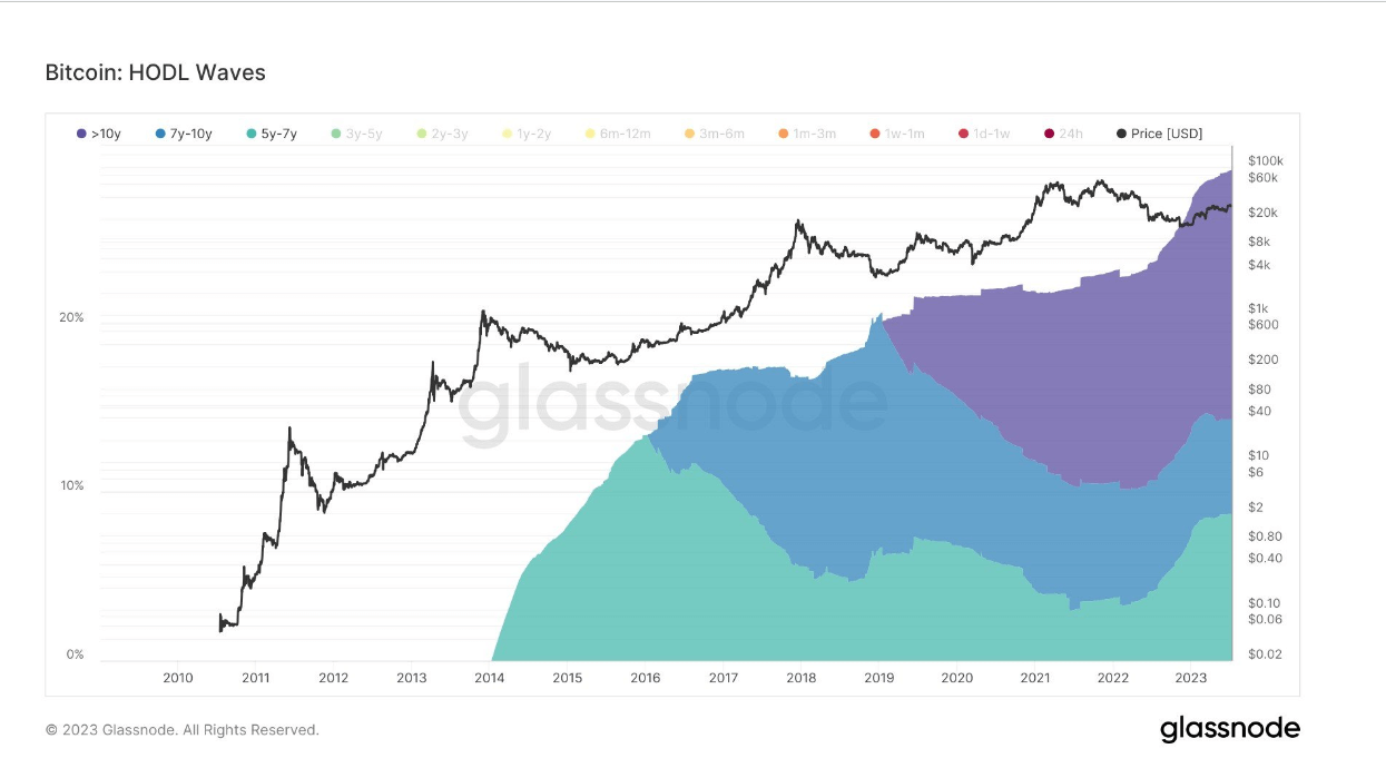 Hodl Waves: (Source: Glassnode)