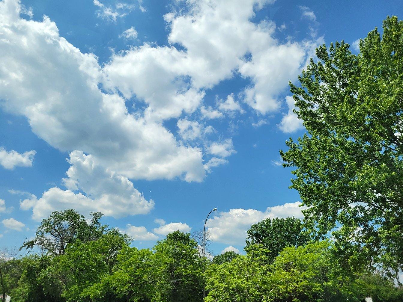 A bright blue sky with fluffy white clouds covering most of it. Along the right and bottom edges of the images are green trees.