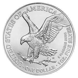 1 oz American Eagle Silver Coin, 20-count