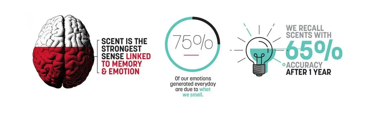 A study by the Sense of Smell Institute indicates that while visual recall of images sinks to approximately 50% after only three months, humans recall smells with 65% accuracy after an entire year. 