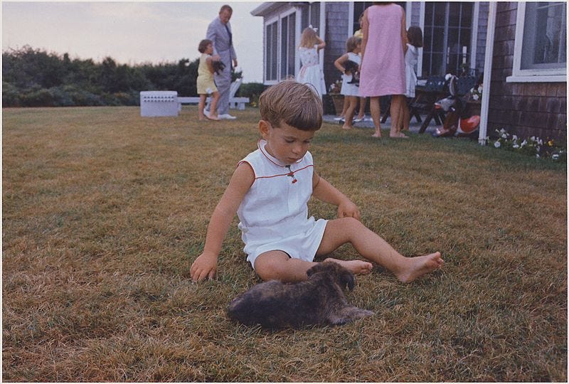 File:John F. Kennedy Jr. with puppy. Hyannisport, MA, Squaw Island - NARA - 194256.jpg