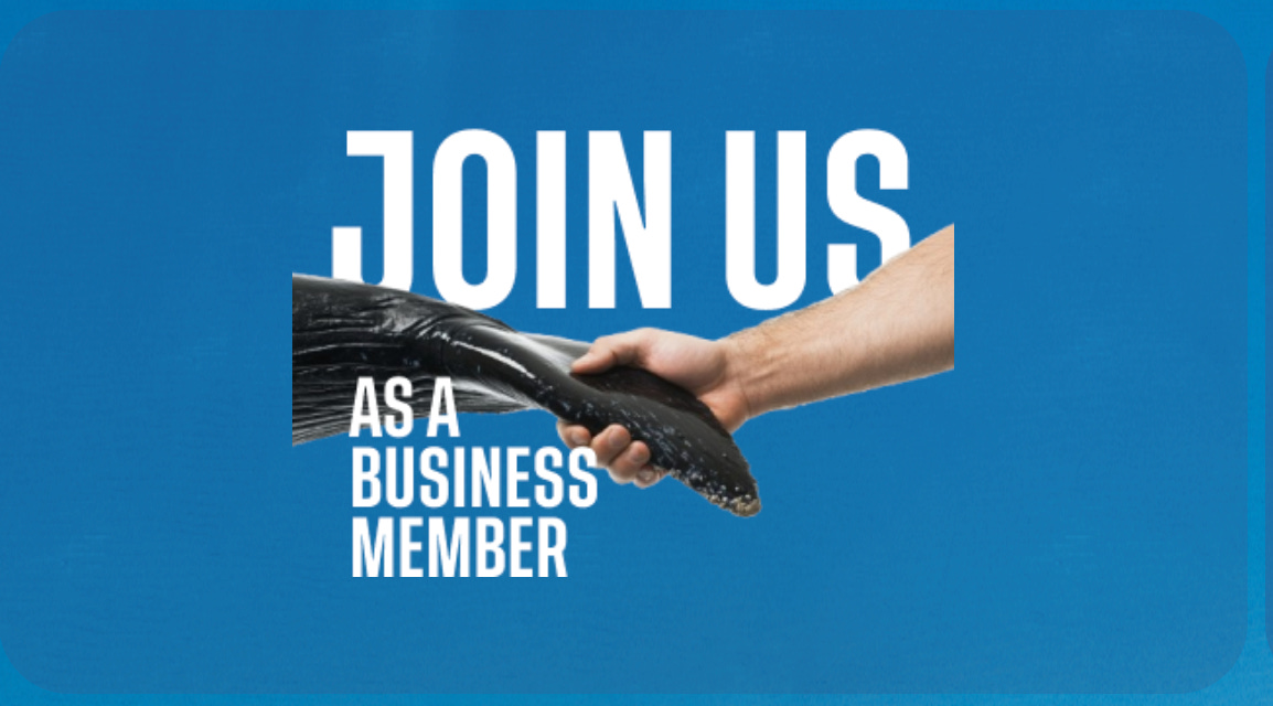 Image from a website featuring an illustration of a human hand holding the flipper of a sea creature, and the words "Join us as a business member."