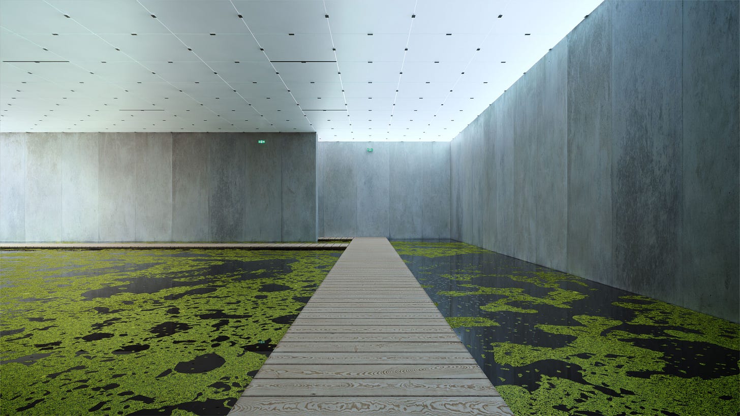Olafur Eliasson's Meditated Motion – A pond in a museum