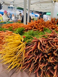 Stacks of different coloured carrots lie on market tables.