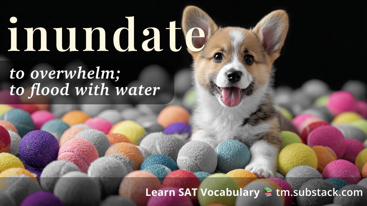 Illustration of a corgi puppy surrounded by hundreds of tennis balls; used to illustrate the SAT word 'inundate'.