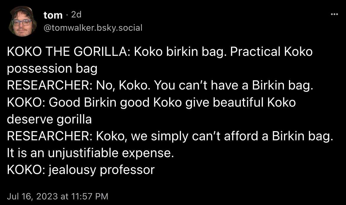 @tomwalker.bsky.social: “KOKO THE GORILLA: Koko birkin bag. Practical Koko possession bag / RESEARCHER: No, Koko. You can’t have a Birkin bag. / KOKO: Good Birkin good Koko give beautiful Koko deserve gorilla / RESEARCHER: Koko, we simply can’t afford a Birkin bag. It is an unjustifiable expense. / KOKO: jealousy professor”