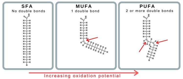 sfa mufa pufa