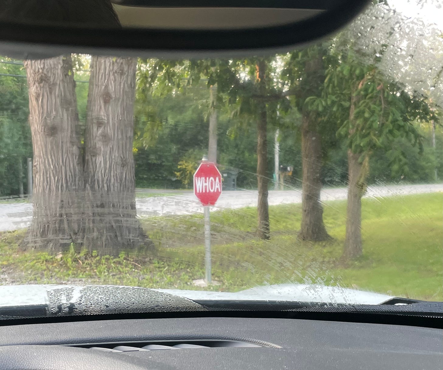 Photograph of a stop sign that says "WHOA"