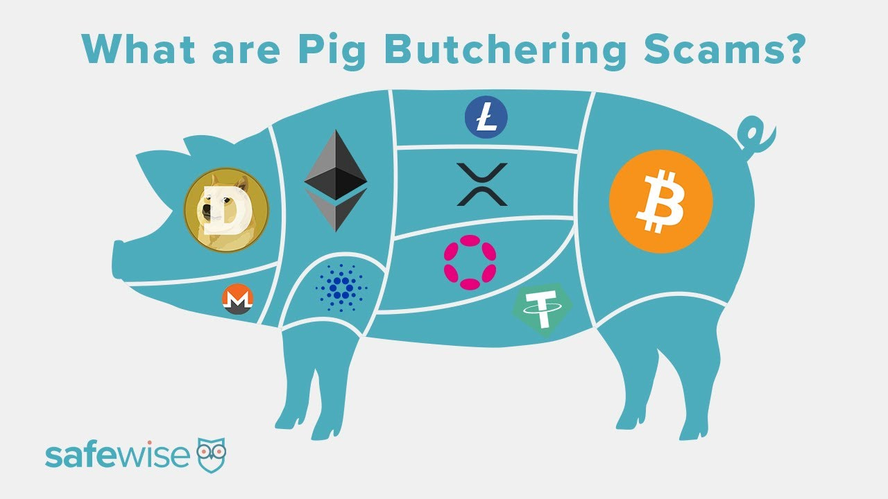 Pig butchering scams are just as scary as they sound - YouTube