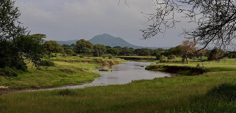 File:Tarangire, Tanzania.jpg