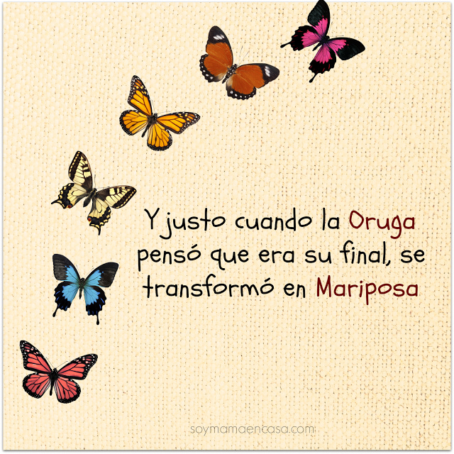 Mariposas - Soy Mamá en Casa | Positive phrases, Motivational phrases, Words