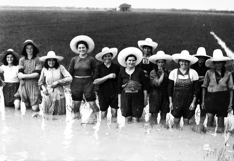 Honoring the Forgotten 19th Century Women of Italy's Rice Fields