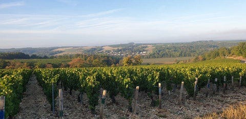 Chablis AOC 2023, Jean-Pierre et Alexandre Ellevin – Wine at Home