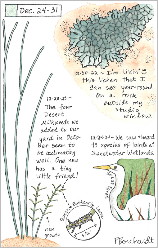 Perpetual Journal, week of Dec. 24-31: Great Egret (2024); Desert Milkweed with Queen Butterfly Larva (2023); Lichen (2022) Perpetual Journal, week of Dec. 24-31: Great Egret (2024); Desert Milkweed with Queen Butterfly Larva (2023); Lichen (2022)