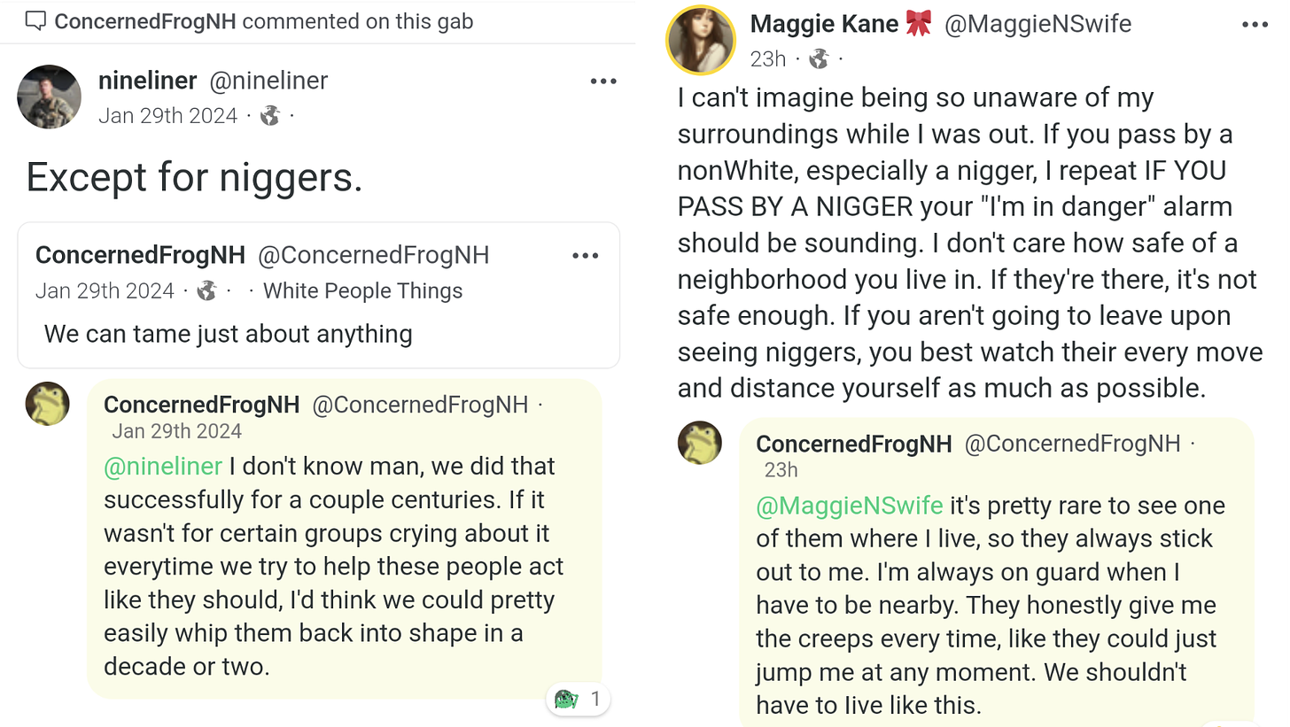 2 racist posts by ConcernedFrogNH
