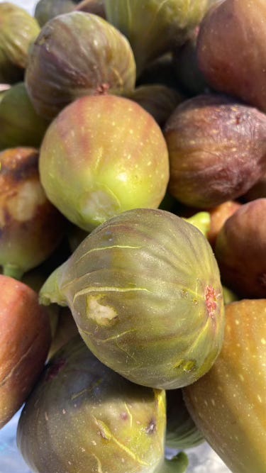 A pile of figs