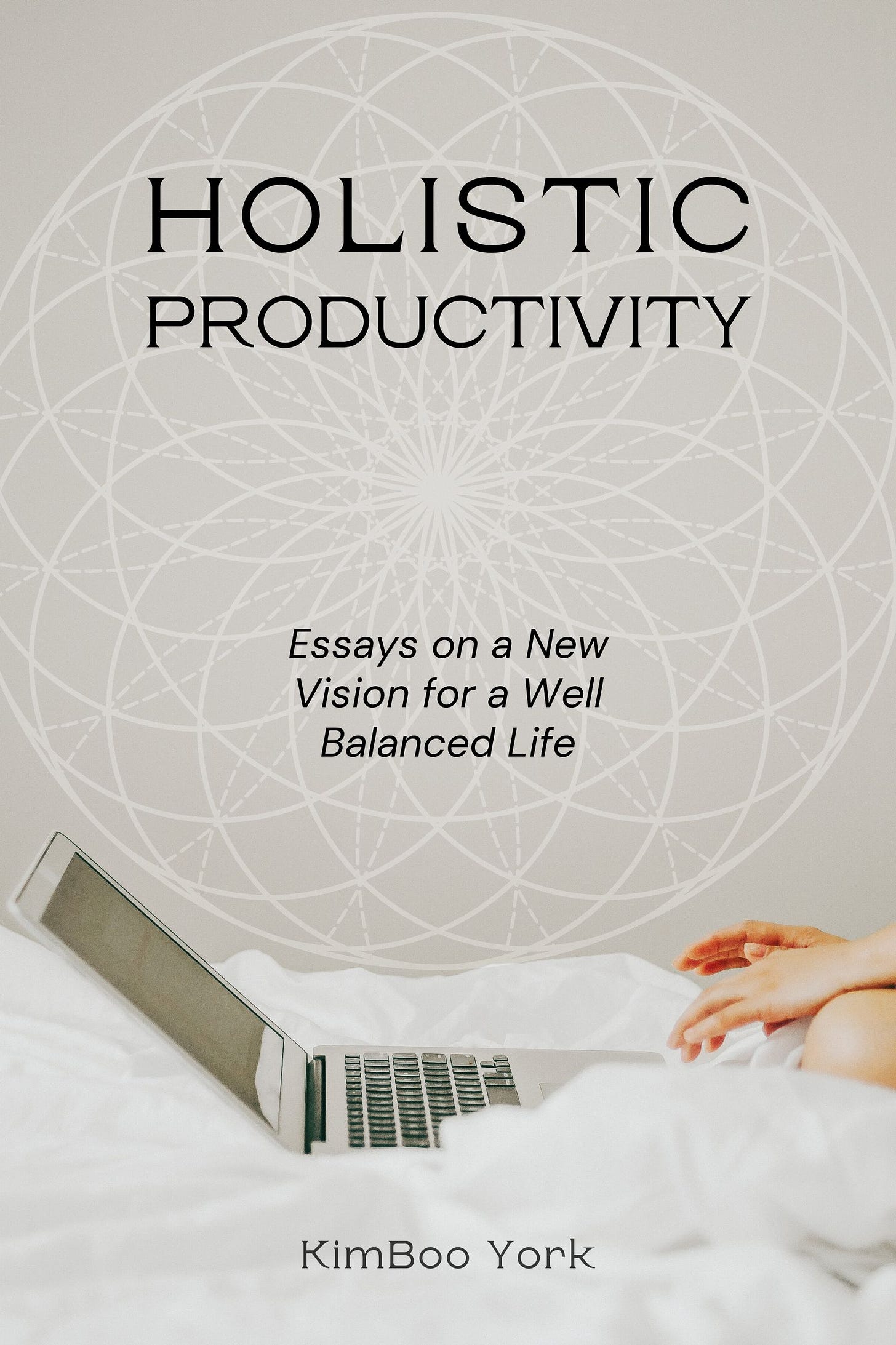 Working cover design for book: Holistic Productivity