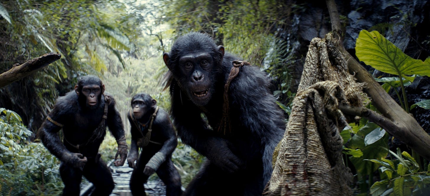 Review: 'Kingdom of the Planet of the Apes' pulls out all the stops - ABC  News