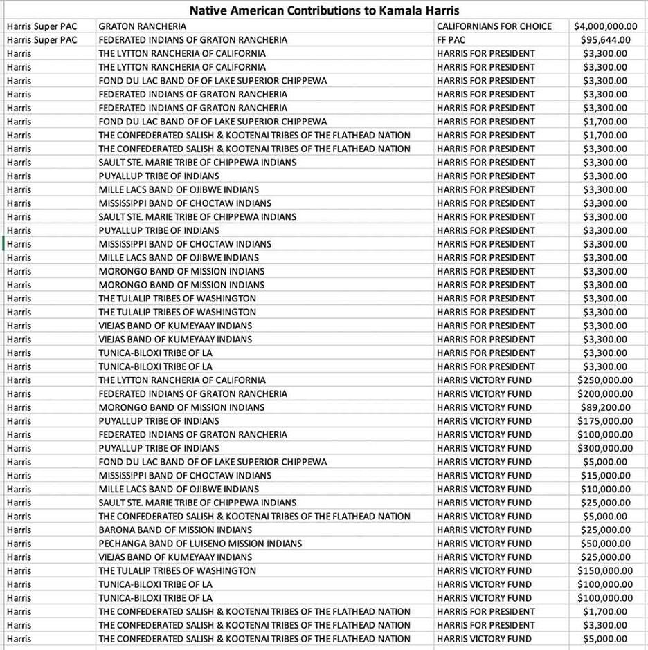 A table of the native american donations

Description automatically generated with medium confidence