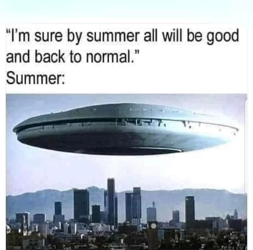 May be an image of text that says '"I'm sure by summer all will be good and back to normal." Summer:'
