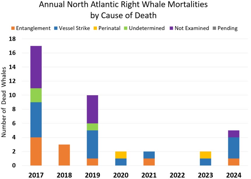 A bar chart showing the cause of death of North Atlantic right whales added to the Unusual Mortality Event (2017-2024)