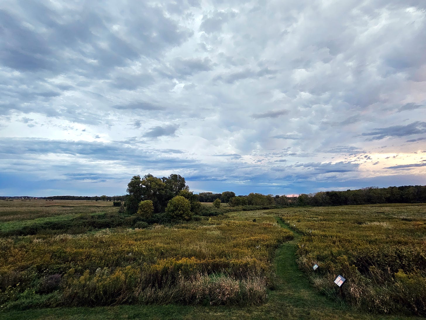 A cloud filled with white, blue, and gray rain clouds sweeps over a prairie filled with goldenrod in bloom and still green grass.