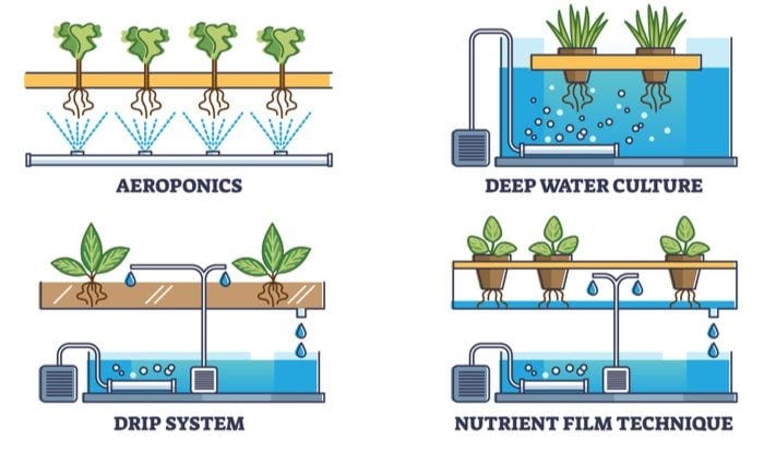 Hydroponics vs. Aeroponics: Which System is Better?