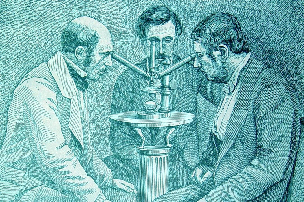 Under Victorian Microscopes, an Enchanted World - JSTOR Daily