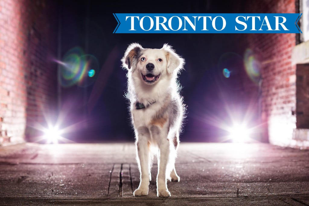 Pet Tech Toronto Star
