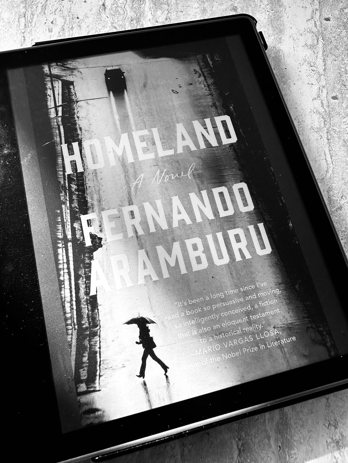 Homeland by Fernando Aramburu