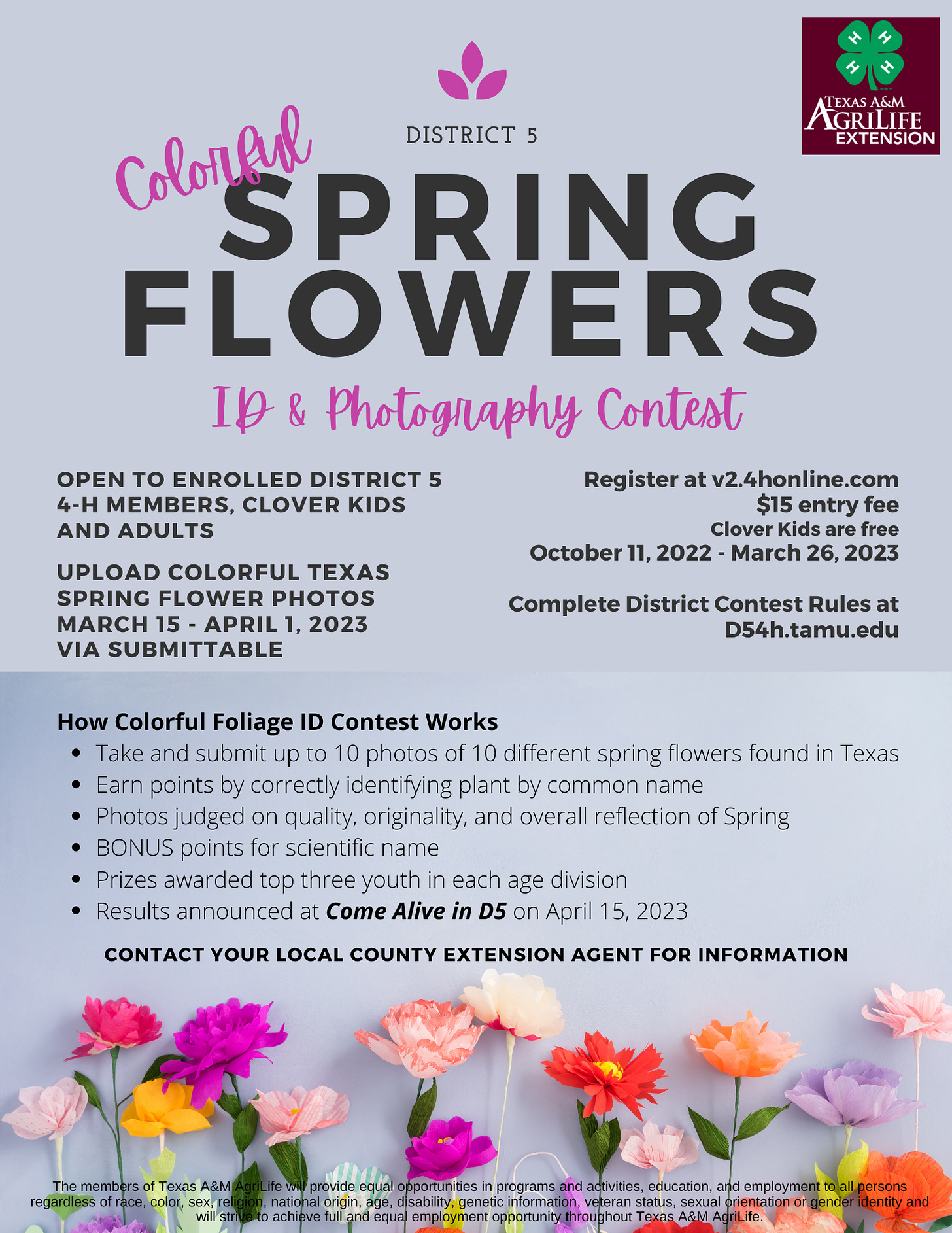 https://d54-h.tamu.edu/files/2022/10/2023-Horticulture-Spring-Flowers-Flyer3.png
