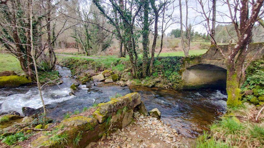 Riachuelo pasando bajo un pequeño puente de piedra