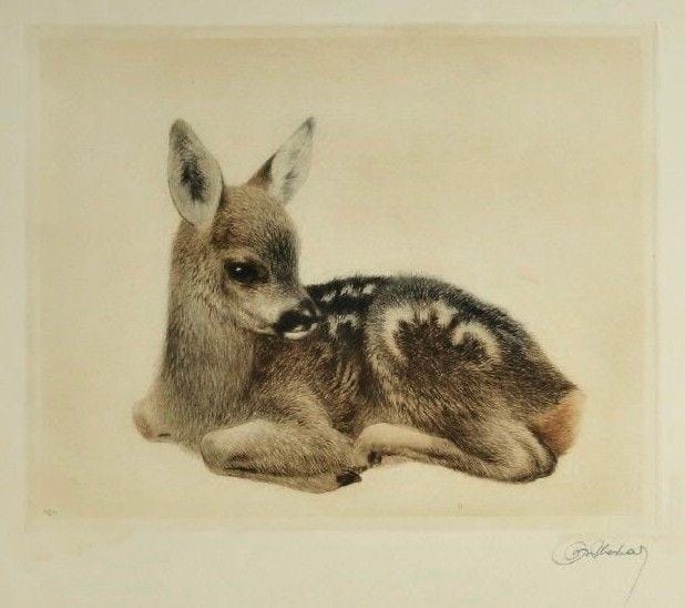 This may contain: a baby deer laying down next to it's mother in a white frame,