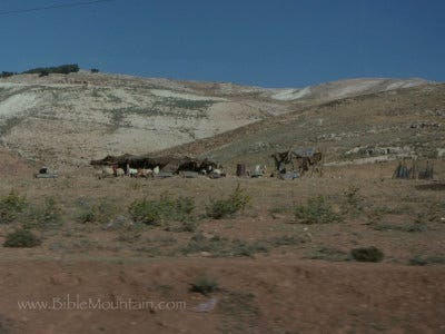 Picture of bedouin tents