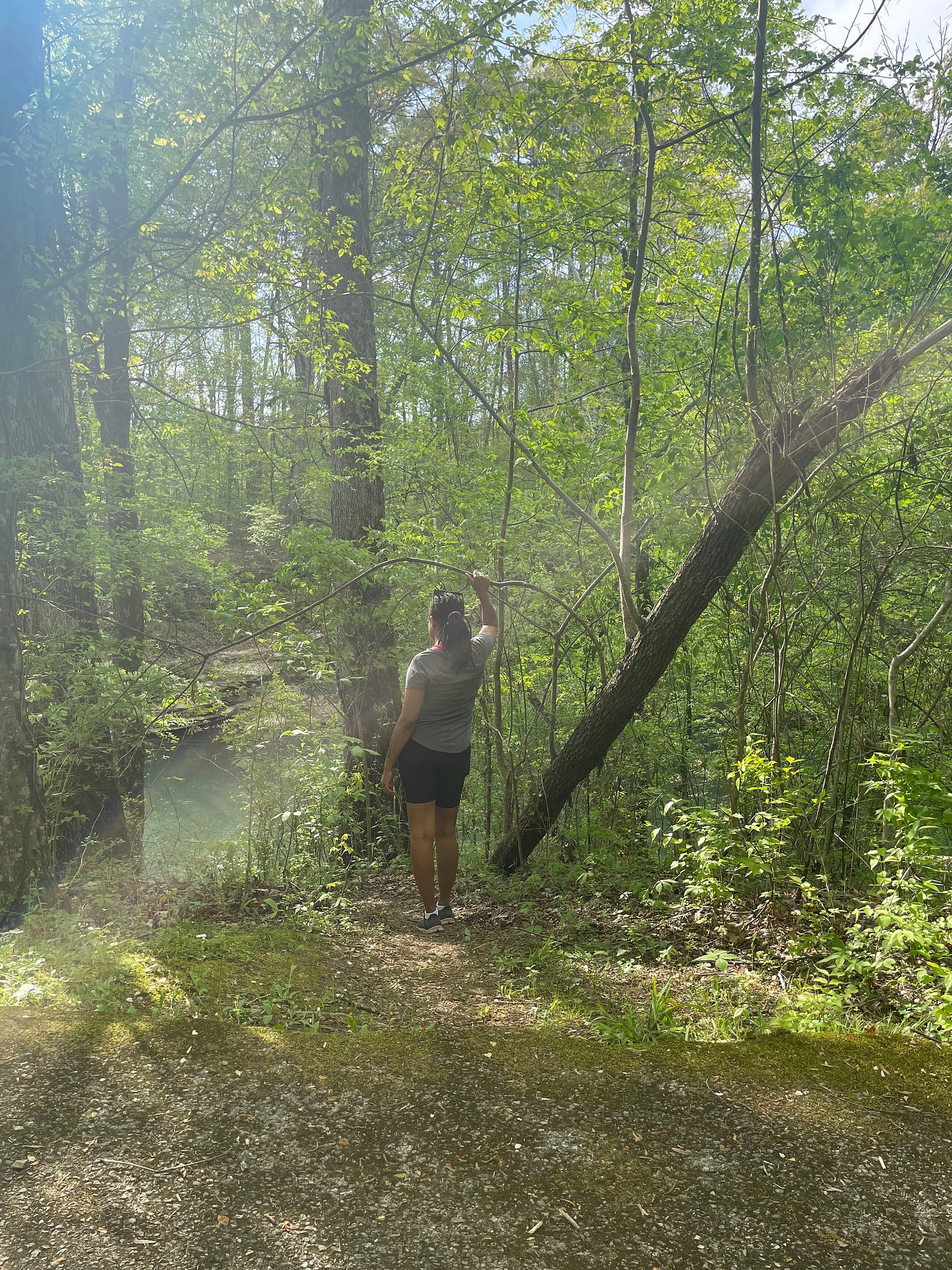 A woman looking out at a river in the woods.