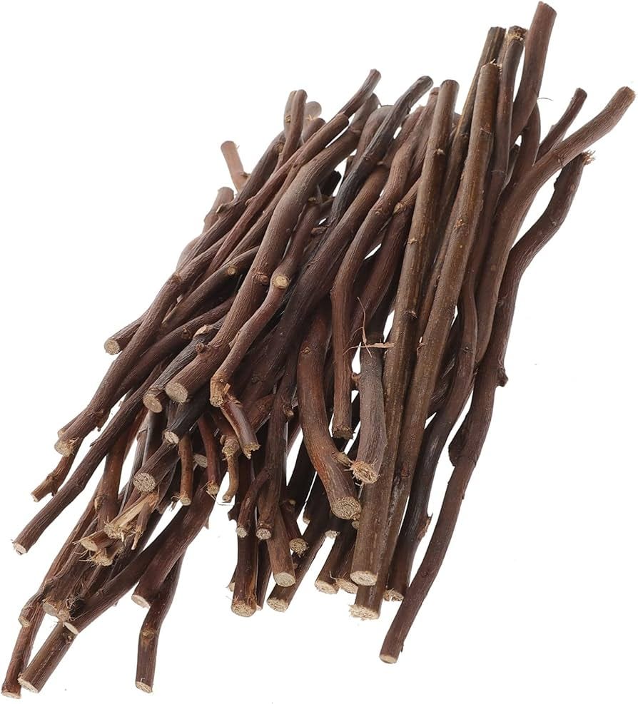 COHEALI Popsicle Sticks Log+in 50pcs Wood Log Sticks Natural Twigs Sticks  Wood Craft Sticks Birch Dried Tree Branches Wood Sticks for DIY Crafts  Photo Prop Projects A Popsicle Sticks Stick : Amazon.com.au: