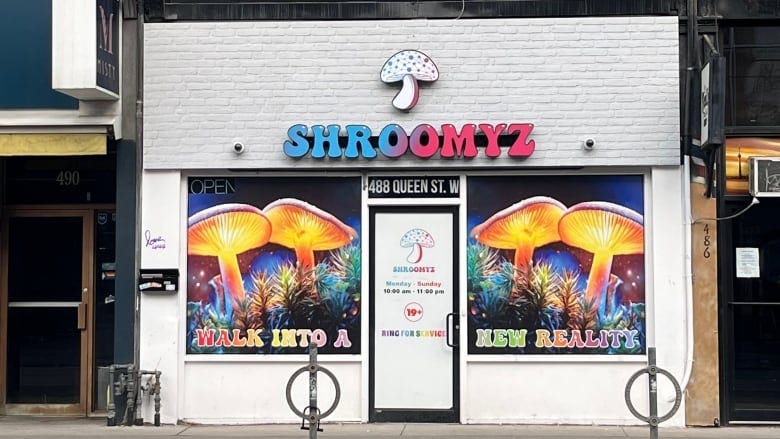 Police will keep raiding Toronto magic mushroom dispensary if city doesn't  step up, says expert | CBC News