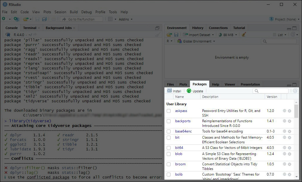 A screenshot highlighting the Packages tab in the RStudio interface.