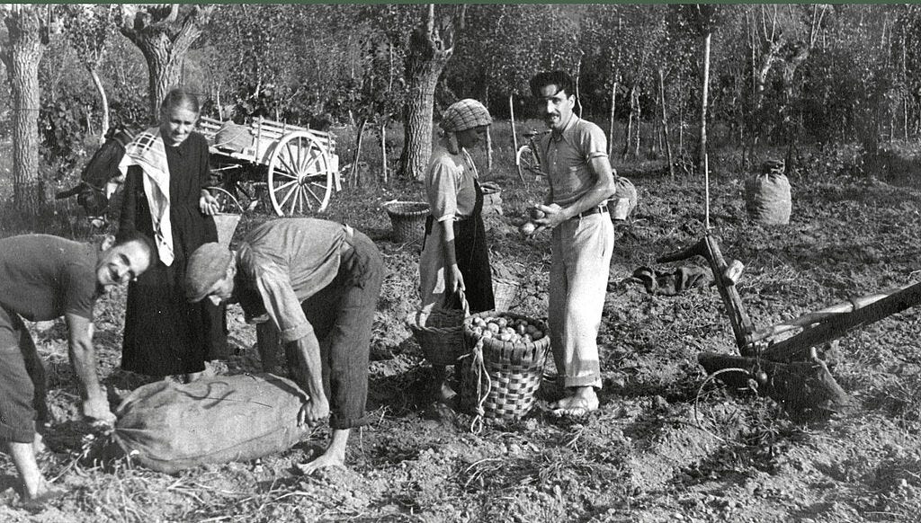 Ad Athena sabato 11 novembre inaugura la mostra di foto d'epoca "Mondo  contadino in provincia di Lucca" - Comune di Capannori