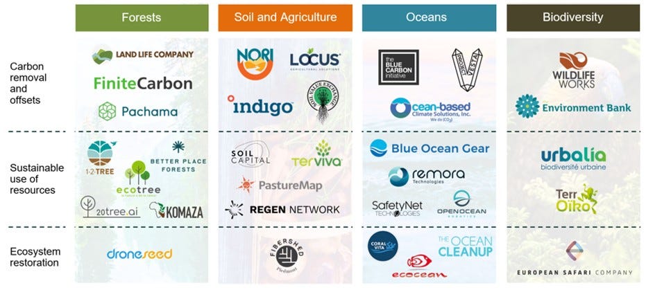 Carbon Removal and Nature-Based Solutions | Cleantech Group