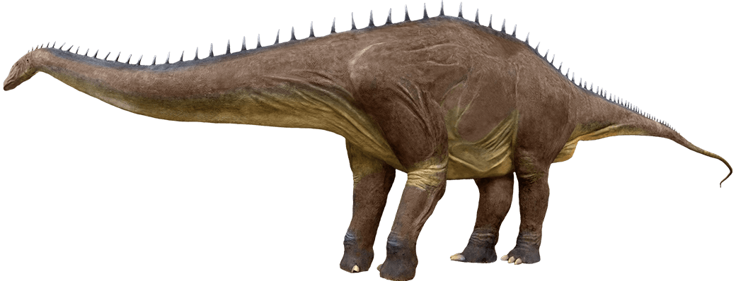 Diplodocus Longus – Moab Giants
