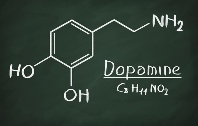 The Role of Dopamine in Motivation and Learning - Neuroscience News